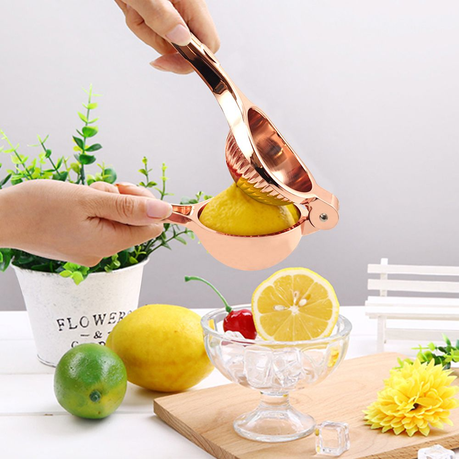 Citrus juicer hand clearance press