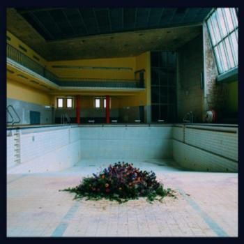 Call In The Crash Team (Vinyl)