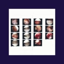 Laughing in My Sleep (CD / Album)