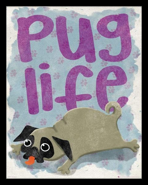 Pug Life - Framed Mini Poster (40 x 50cm)