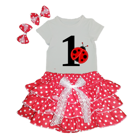 Ladybug first sale birthday outfit