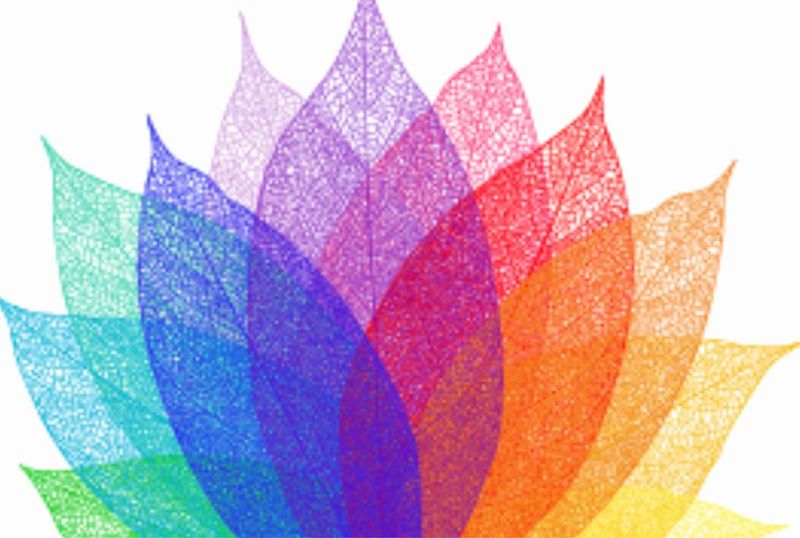 Laptop Skin Colourful Leaves