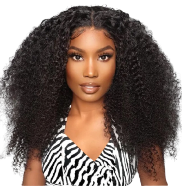 Brazilian Hair Wig, Kinky Curly Wig With 4x4 Closure.