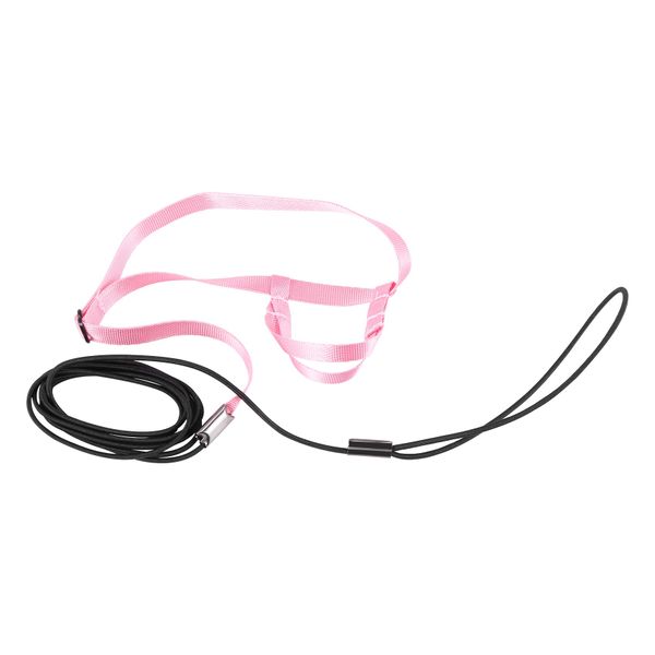 Pet Bird Harness And Leash Adjustable Parrot Bird Harness Leash (P)