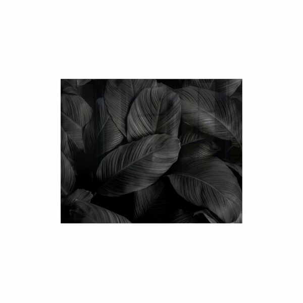 Feather Design Decorative Glass Wall Tile 898mm x 700mm