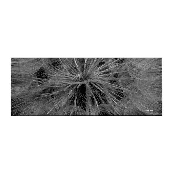 Dandelion Close Up Black White Desk Pad by Annette Heymans