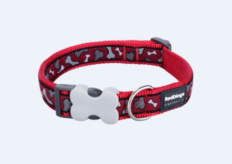 Red Dingo Dog Collar - Design - Small - Bonerama Red