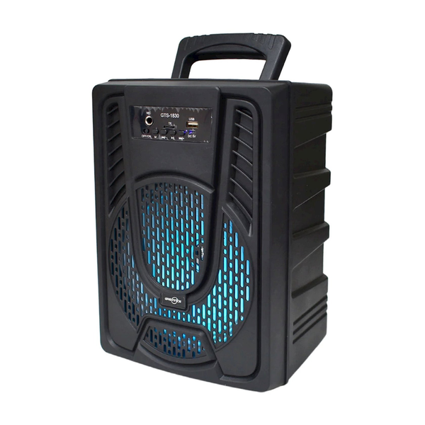 GTS-1830 8" Bluetooth Speaker with USB, TF Card, FM Radio, Microphone Input