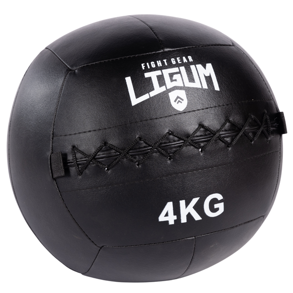 Wall Medicine Ball - High-Density Weighted Ball for Explosive Training
