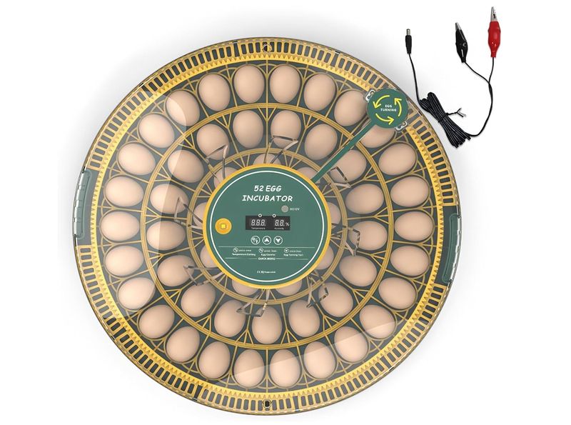 Egg Incubator 52 Eggs Incubators for Hatching Eggs Temperature Humidity