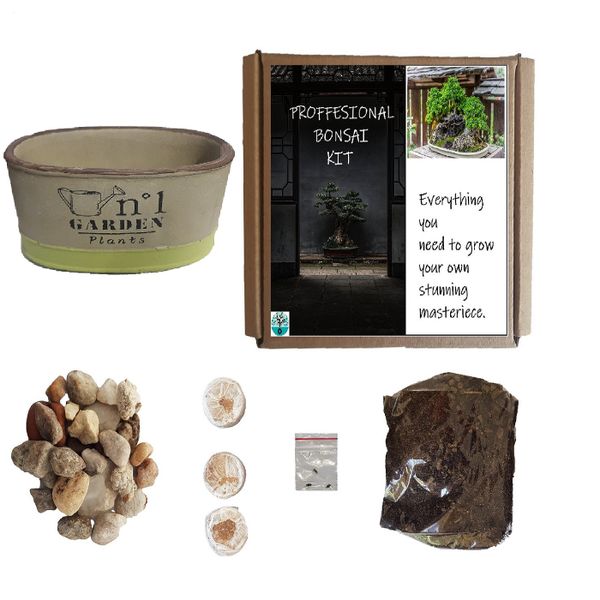 Bonsai home Grow gift kit Acacia Karoo