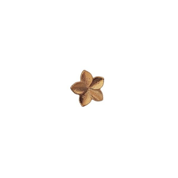 Women Gold Stud Earrings