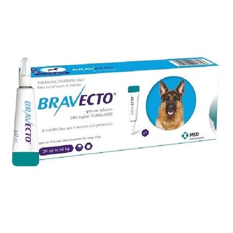 bravecto takealot