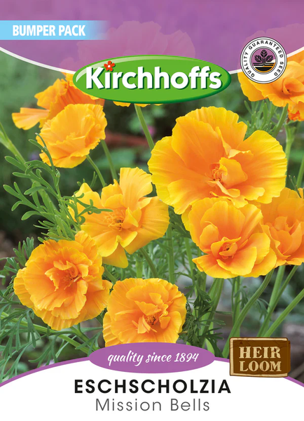 Kirchhoffs Escholtzia Mission Bells Large Bumper Pack