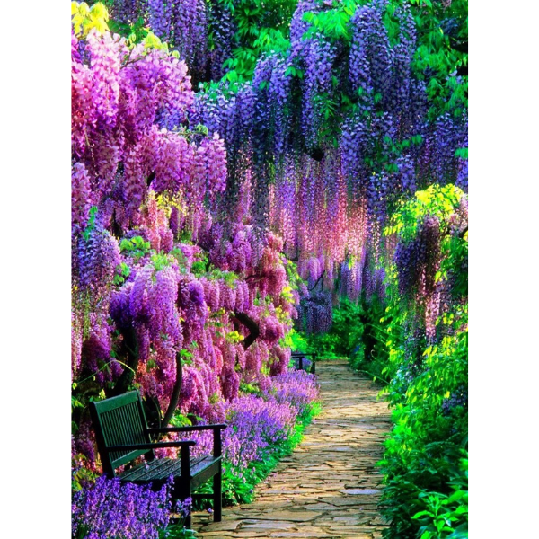 Diamond Painting - Wisteria Flower Garden - Round