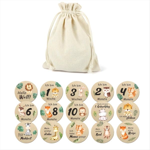 15 Pcs Beautiful Baby Monthly Cards - Double Sided Milestone