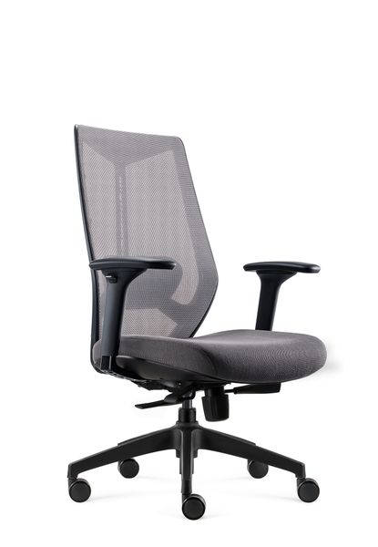 Arco Ergonomic Office Chair