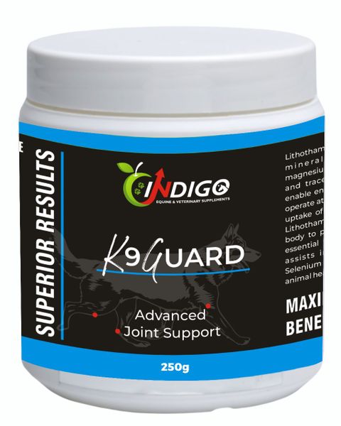 Indigo k9 Guard - MSM &amp; Mineral Supplement for Dogs