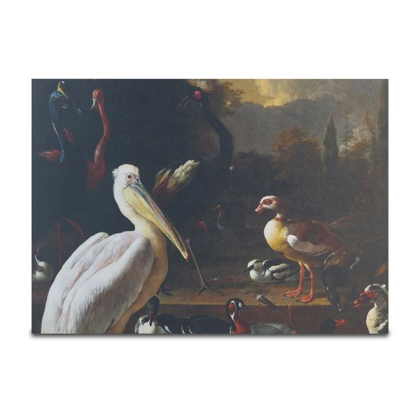 Disposable Placemats - Ducks And Pelicans - Pack of 24