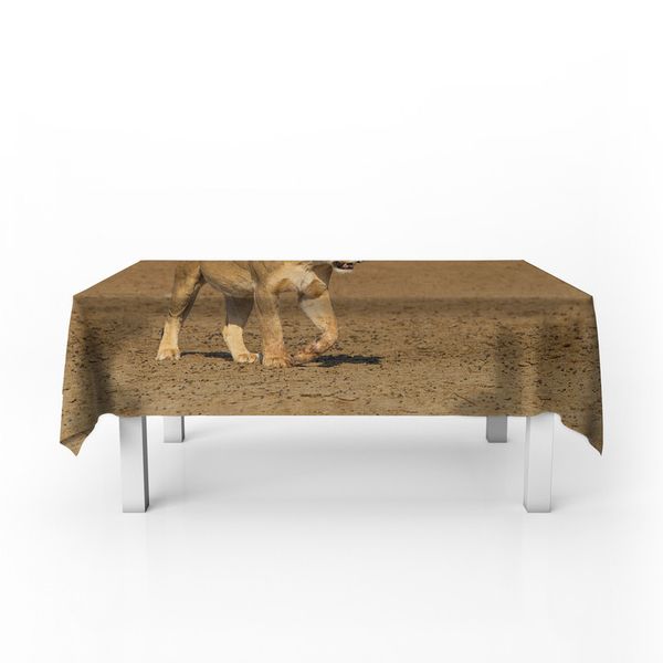 Lioness Strolling In Nossob River Bed By Fanie Heymans Rectangle Tablecloth