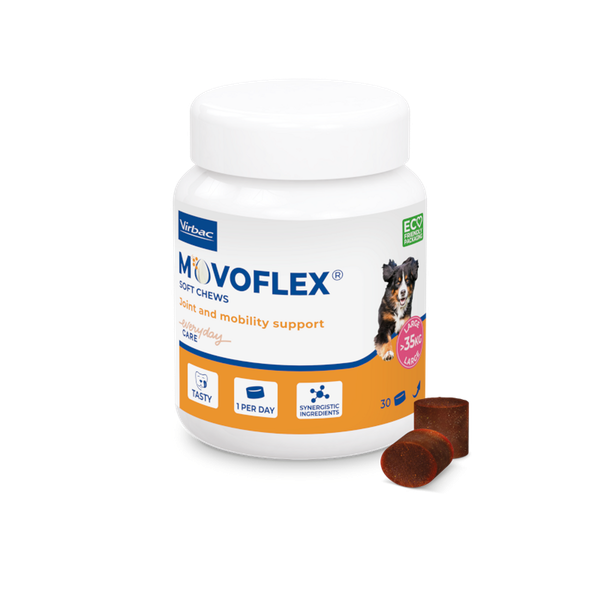 Movoflex Soft Chews for Joint Mobility Support - Large