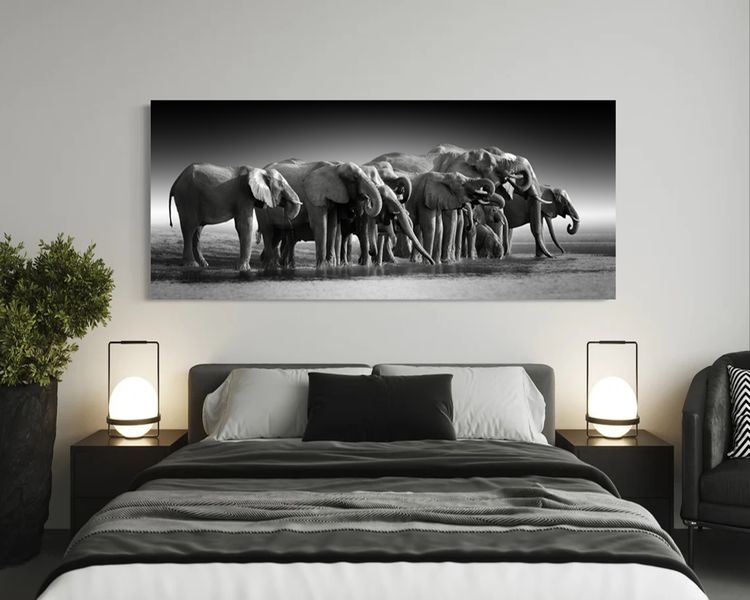Black, Grey Cotton Canvas cm Animals Wall Art