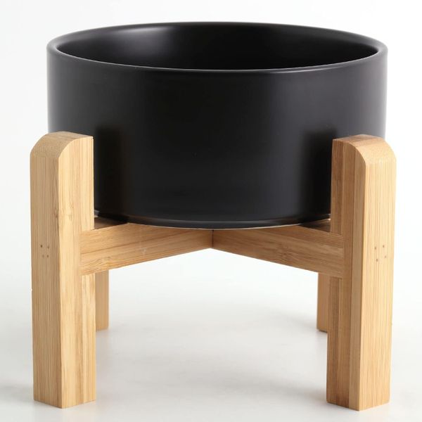 Dog food and water bowl with stand