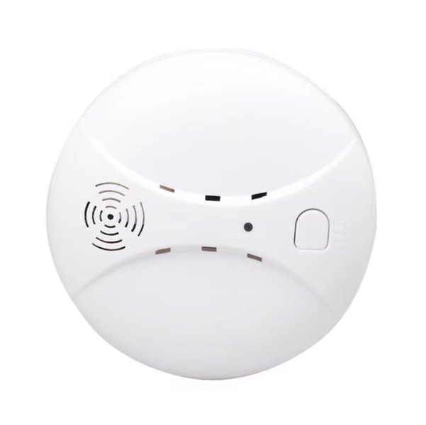 Smoke Detector Alarm