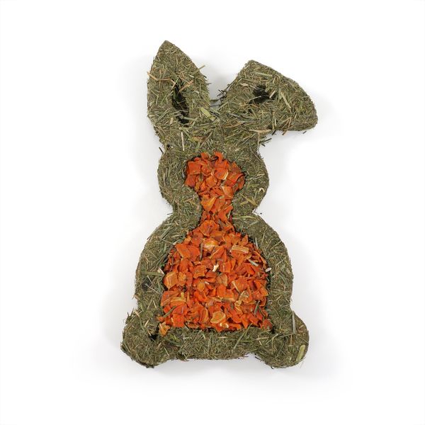 Carrot 'N' Forage Bunny