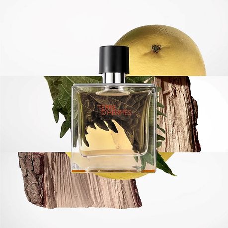 Hermès Terre d'Hermès Pure Parfum 75ml for Men | Shop Today. Get