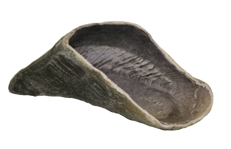 Dog Hoof Chews Pack of 25