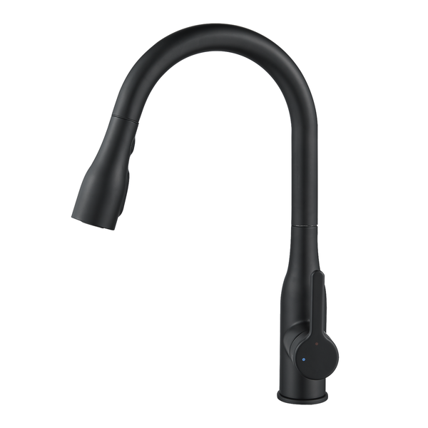 Delinia Fanny Pull Out Kitchen Faucet ACS - Black