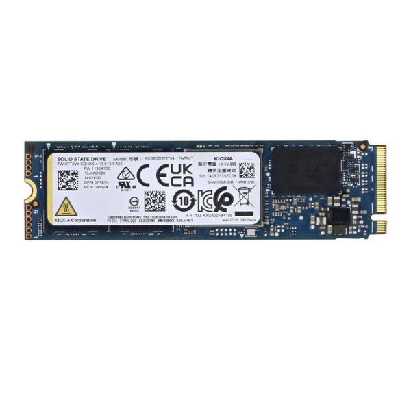 Kioxia 256GB NVMe M.2 SSD OEM High-Speed Internal Storage Drive