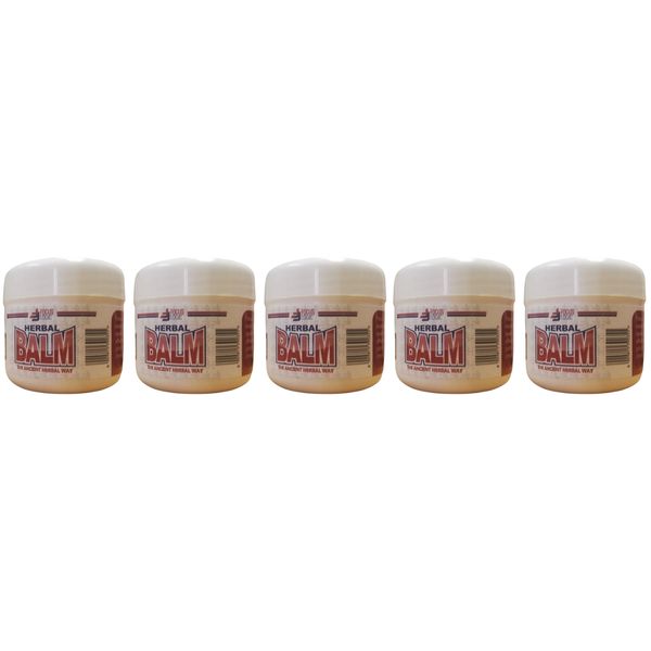 5-Pack 50ml Focus Logic Herbal Balm - The Ancient Herbal Remedy