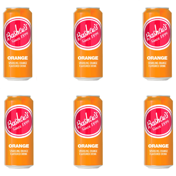Orange Flavoured Drink 6 x 300ml - Bashew's