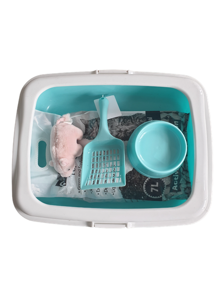 Pawsome Cat Starter Kit Green