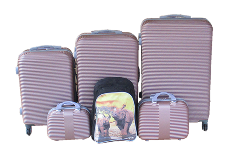 5-Piece Rose Gold Hard Shell Luggage Set + Kids Rhino Backpack