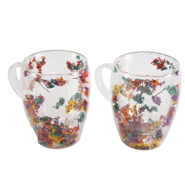 2Pcs Fillings Dry Flowers Double Wall Glass Cup With Handle Heat Resistant