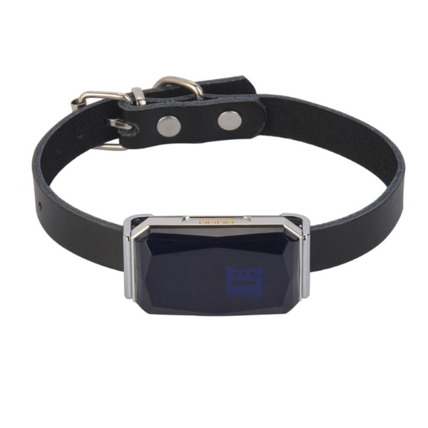 Pet GPS Collar For Dogs and Cats, Dog Tracking Device, Waterproof - Blue