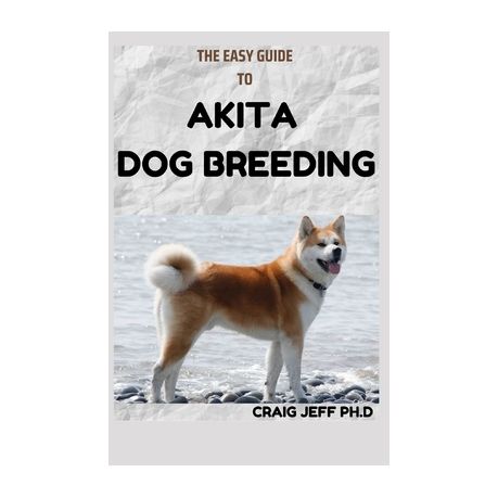 are akita dogs easy to train