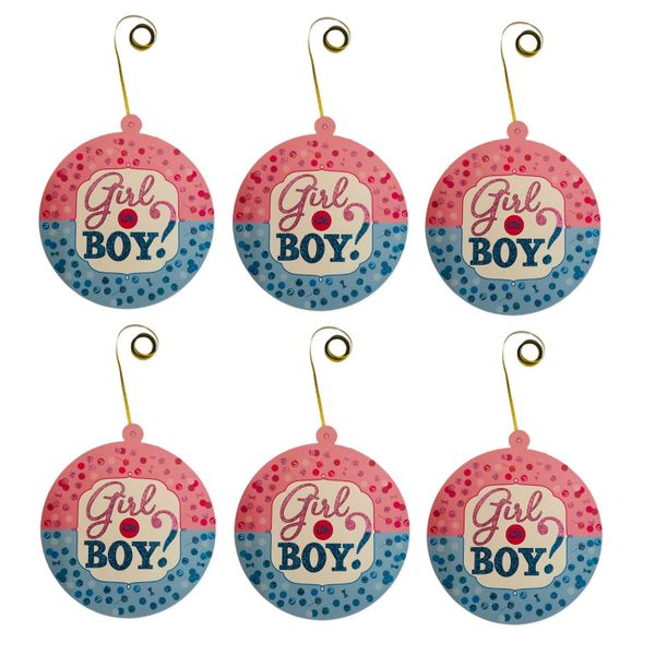 Gender Reveal Wall Decor - Girl or Boy? Pink &amp; Blue (Set of 2)