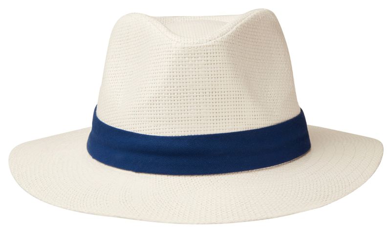 Blue Band image