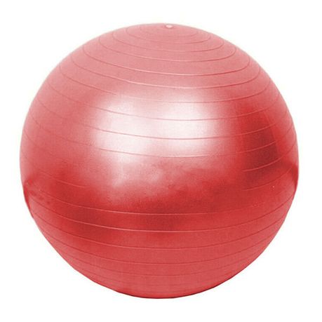 exercise ball online