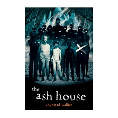 The Ash House by Angharad Walker