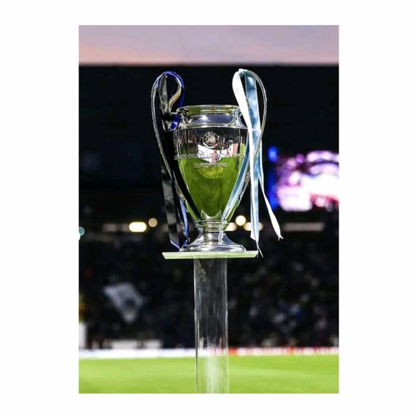 Man City's Champions League Trophy Poster - A1