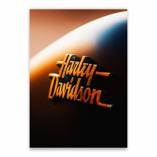 Harley Davidson Poster - A1