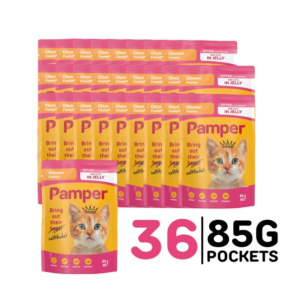 Pamper Kitten Wet Cat Food Chicken Flavour (36 x 85g) Sachets