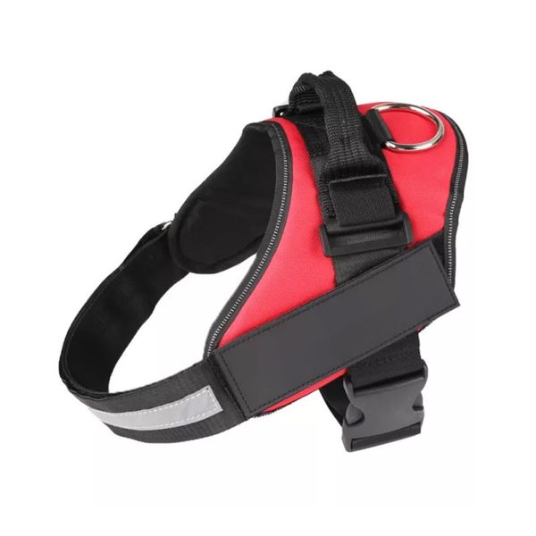 Dog Harness &amp; Lead - Red