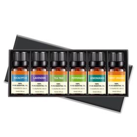 100% Pure Essential Oil Set (6 Pack) | Shop Today. Get it Tomorrow ...