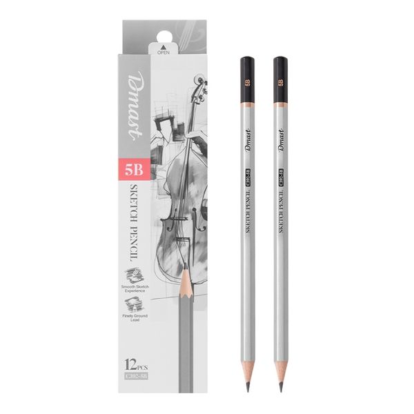 Dmast Sketching Pencil 5B 12pcs Black
